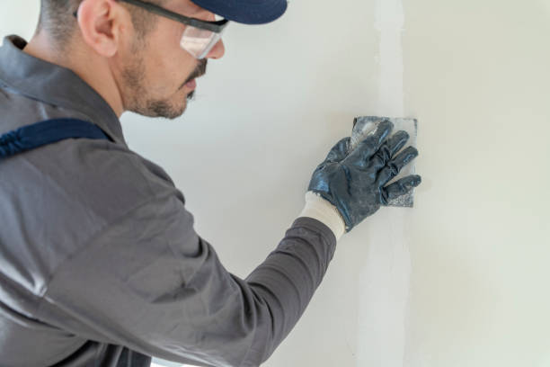 Best Fire-Damaged Drywall Repair  in Jackson, MO